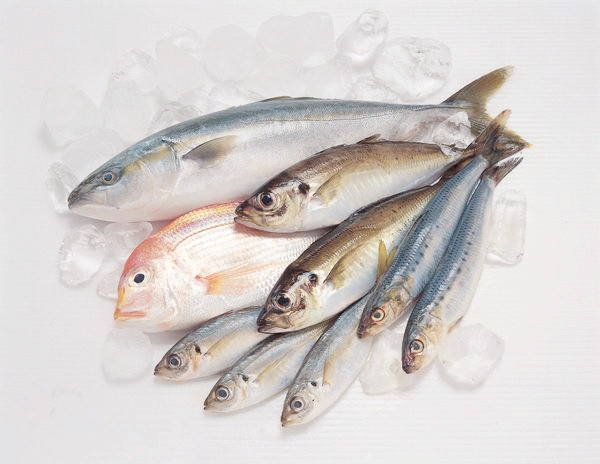 天津滨海新区迎来秋季鱼汛 海鲜市场价格约降三成