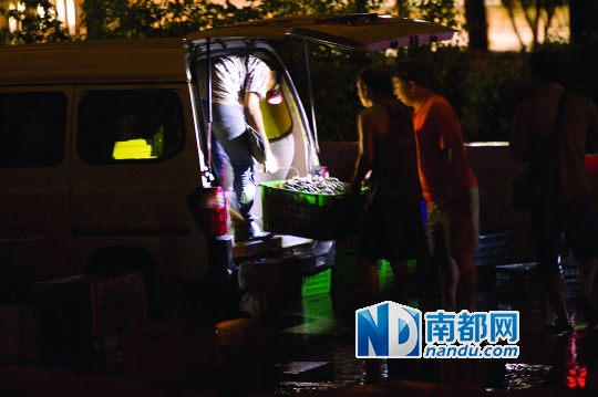 深圳湾畔午夜小船出没 捕捞者偷挖生蚝蛏子