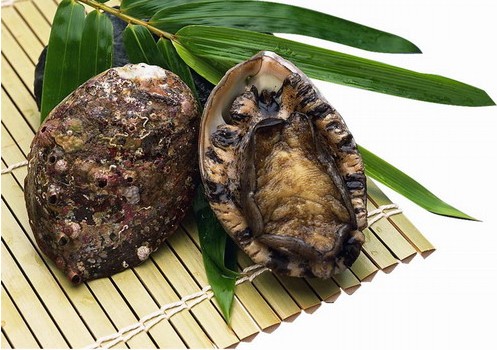常见的贝类海鲜有哪些？