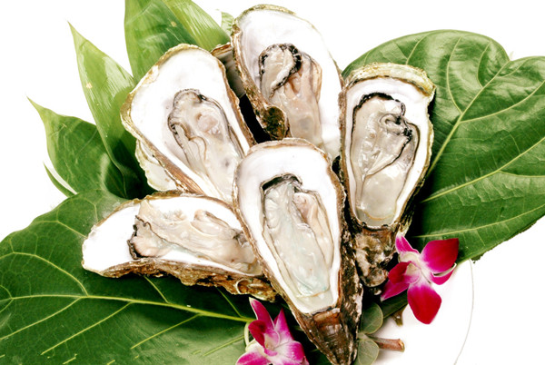 你知道海鲜姿造是什么东东嘛？(2)