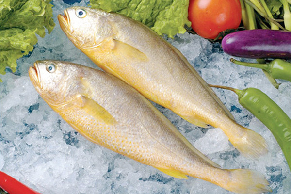 黄鱼的营养价值有多丰富你造吗？
