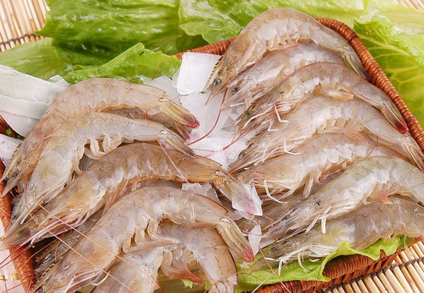 虾籽的营养价值-虾籽有哪些营养？