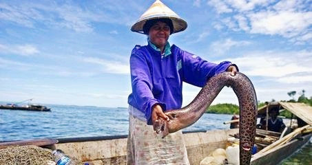 特色海鲜品种