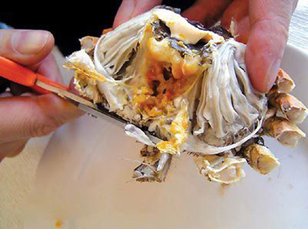 海鲜中国：分享吃螃蟹技巧