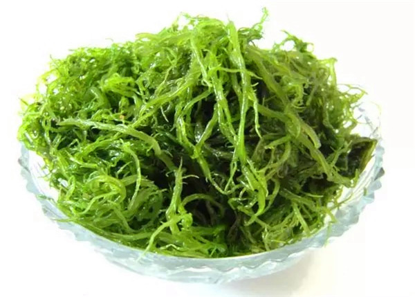 9种海鲜预防癌症(2)