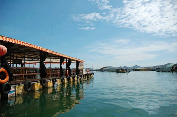 鱼排上的海鲜大餐