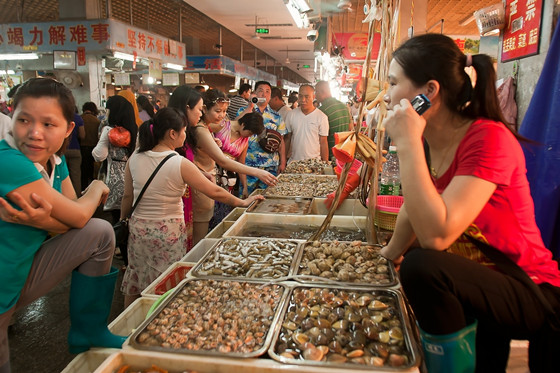 饮食男女海鲜行(2)
