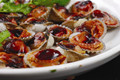 白灼血蛤的简单做法_白灼血蛤怎么做最好吃？
