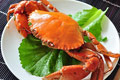 大展宏图香辣蟹的简单做法_大展宏图香辣蟹怎么做最好吃？
