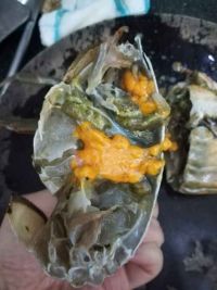 厦门煎蟹怎么做好吃_厦门煎蟹的做法