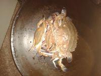 清蒸海蟹怎么做好吃_清蒸海蟹的做法