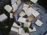 鲜虾炖豆腐怎么做好吃_鲜虾炖豆腐的做法