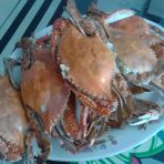 清蒸螃蟹怎么做好吃_清蒸螃蟹的做法