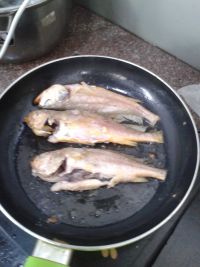 煎黄花鱼怎么做好吃_煎黄花鱼的做法