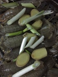 清蒸虾爬子怎么做好吃_清蒸虾爬子的做法