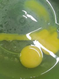 海白蒸蛋怎么做好吃_海白蒸蛋的做法
