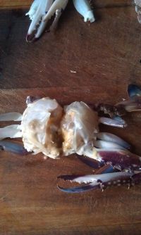 梭子蟹怎么做好吃_梭子蟹的做法