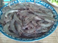 青椒炒海虾怎么做好吃_青椒炒海虾的做法