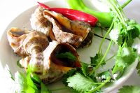 温拌海螺肉怎么做好吃_温拌海螺肉的做法