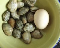 花蛤蒸蛋怎么做好吃_花蛤蒸蛋的做法