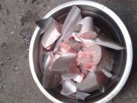 蒜香鲨鱼汤怎么做好吃_蒜香鲨鱼汤的做法