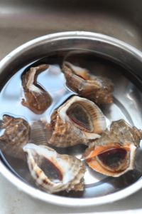 清水煮海螺怎么做好吃_清水煮海螺的做法
