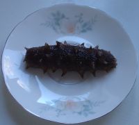 海参炒饭怎么做好吃_海参炒饭的做法