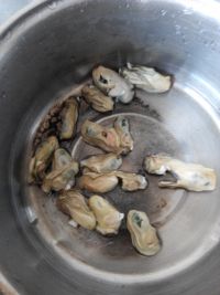 海蛎煎怎么做好吃_海蛎煎的做法