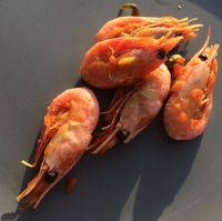 意式甜虾焗饭怎么做好吃_意式甜虾焗饭的做法