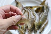 【茶香虾】少油健康清新版怎么做好吃_【茶香虾】少油健康清新版的做法