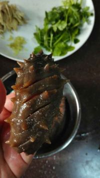 海参鸡丝小米粥怎么做好吃_海参鸡丝小米粥的做法