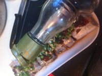 豆瓣酱蒸带鱼怎么做好吃_豆瓣酱蒸带鱼的做法