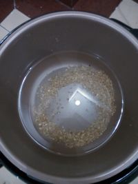 海鲜糙米木耳粥怎么做好吃_海鲜糙米木耳粥的做法