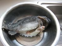 红烧海参斑鱼怎么做好吃_红烧海参斑鱼的做法