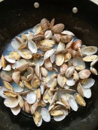 香芹蛤肉水饺怎么做好吃_家常香芹蛤肉水饺的做法