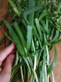 香芹蛤肉水饺怎么做好吃_家常香芹蛤肉水饺的做法