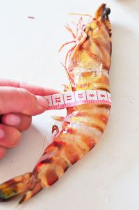 黄金脆皮虾怎么做好吃_家常黄金脆皮虾的做法