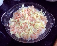 鲜鱿焗饭怎么做好吃_家常鲜鱿焗饭的做法