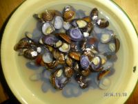 黑蛤蜊汤怎么做好吃_家常黑蛤蜊汤的做法